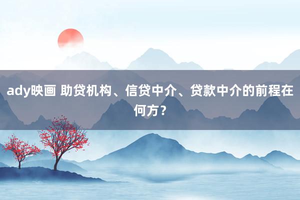 ady映画 助贷机构、信贷中介、贷款中介的前程在何方？