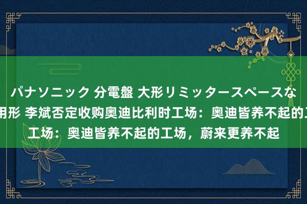 パナソニック 分電盤 大形リミッタースペースなし 露出・半埋込両用形 李斌否定收购奥迪比利时工场：奥迪皆养不起的工场，蔚来更养不起