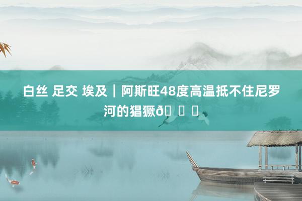 白丝 足交 埃及|阿斯旺48度高温抵不住尼罗河的猖獗💛