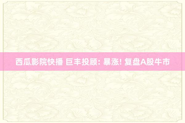 西瓜影院快播 巨丰投顾: 暴涨! 复盘A股牛市