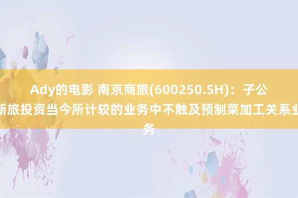 Ady的电影 南京商旅(600250.SH)：子公司新旅投资当今所计较的业务中不触及预制菜加工关系业务