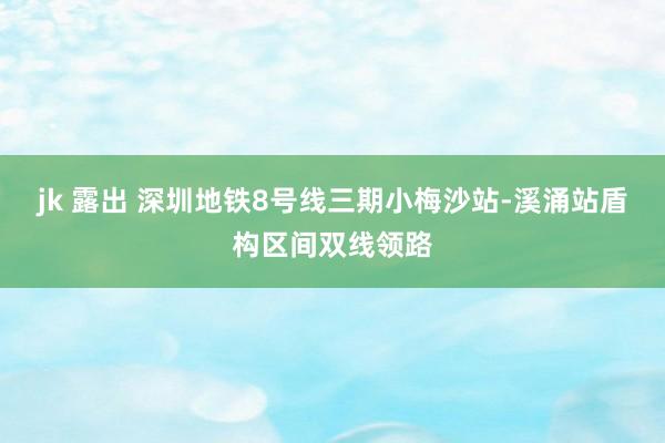 jk 露出 深圳地铁8号线三期小梅沙站-溪涌站盾构区间双线领路