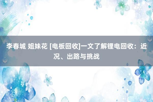 李春城 姐妹花 [电板回收]一文了解锂电回收：近况、出路与挑战