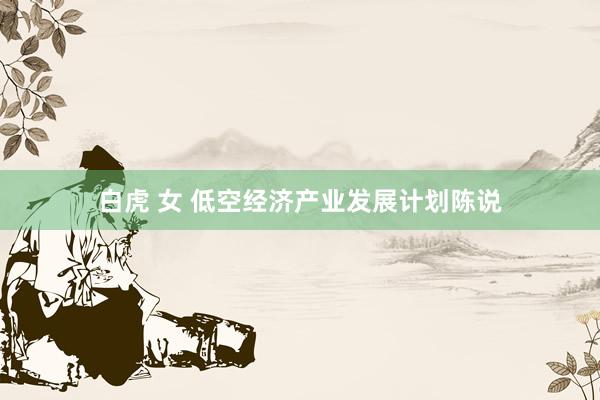 白虎 女 低空经济产业发展计划陈说