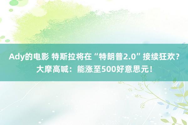Ady的电影 特斯拉将在“特朗普2.0”接续狂欢？大摩高喊：能涨至500好意思元！