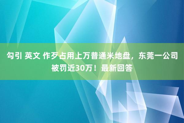勾引 英文 作歹占用上万普通米地盘，东莞一公司被罚近30万！最新回答