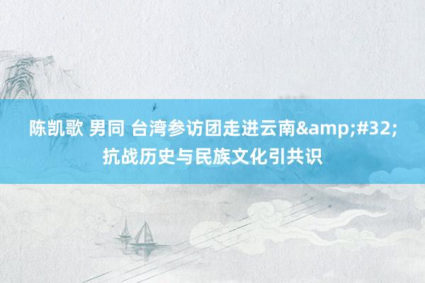 陈凯歌 男同 台湾参访团走进云南&#32;抗战历史与民族文化引共识