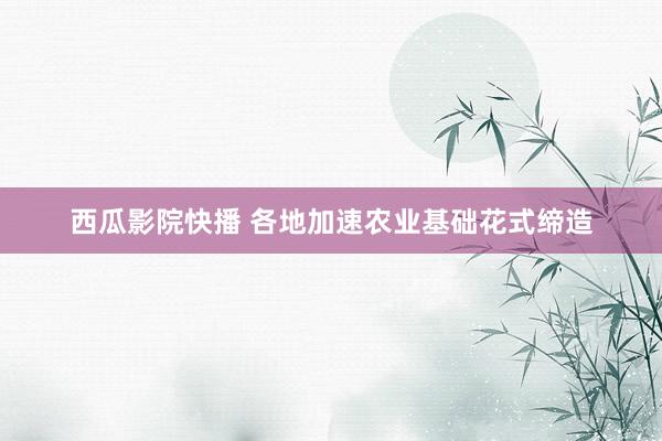 西瓜影院快播 各地加速农业基础花式缔造