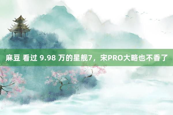 麻豆 看过 9.98 万的星舰7，宋PRO大略也不香了