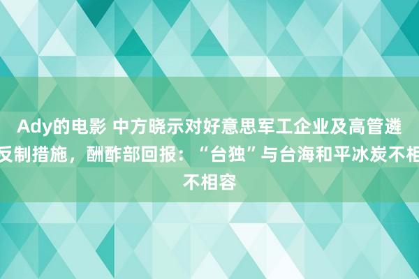 Ady的电影 中方晓示对好意思军工企业及高管遴选反制措施，酬酢部回报：“台独”与台海和平冰炭不相容