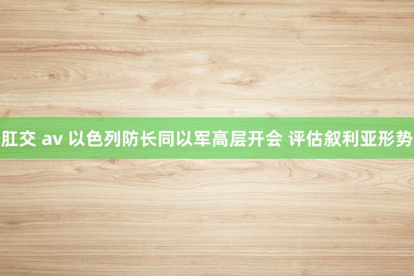 肛交 av 以色列防长同以军高层开会 评估叙利亚形势