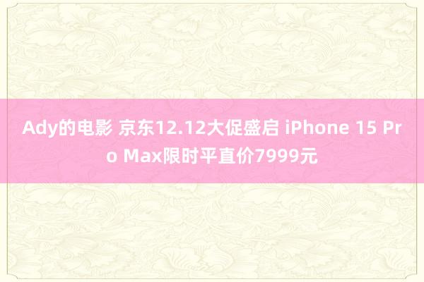 Ady的电影 京东12.12大促盛启 iPhone 15 Pro Max限时平直价7999元