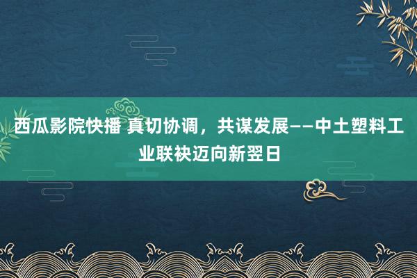 西瓜影院快播 真切协调，共谋发展——中土塑料工业联袂迈向新翌日