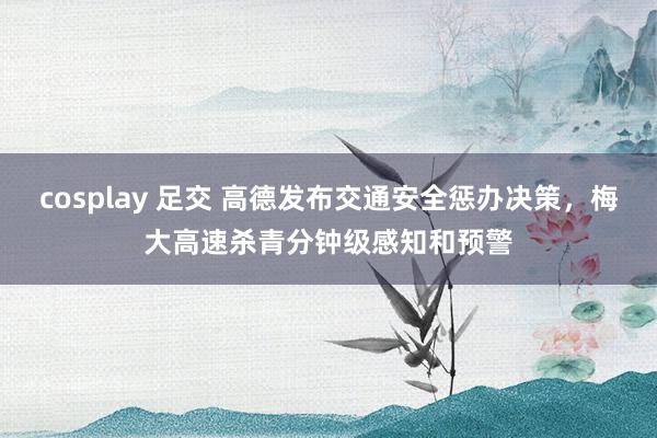 cosplay 足交 高德发布交通安全惩办决策，梅大高速杀青分钟级感知和预警