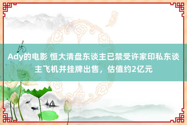 Ady的电影 恒大清盘东谈主已禁受许家印私东谈主飞机并挂牌出售，估值约2亿元