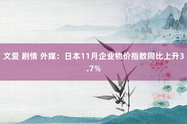 文爱 剧情 外媒：日本11月企业物价指数同比上升3.7%