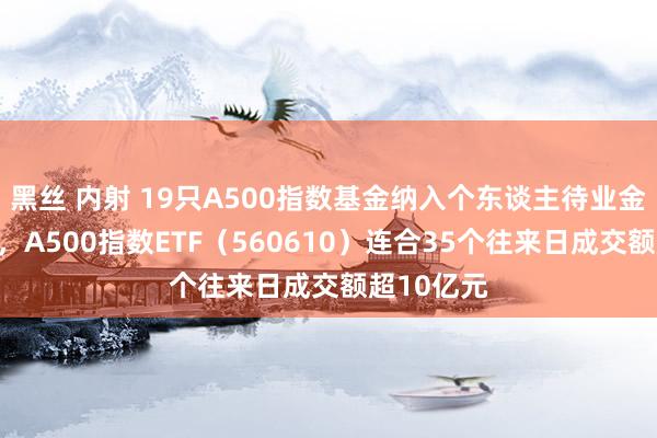 黑丝 内射 19只A500指数基金纳入个东谈主待业金投资界限，A500指数ETF（560610）连合35个往来日成交额超10亿元