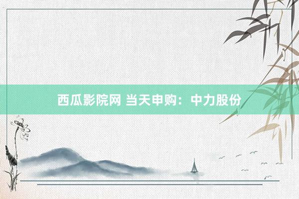 西瓜影院网 当天申购：中力股份