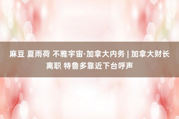 麻豆 夏雨荷 不雅宇宙·加拿大内务 | 加拿大财长离职 特鲁多靠近下台呼声