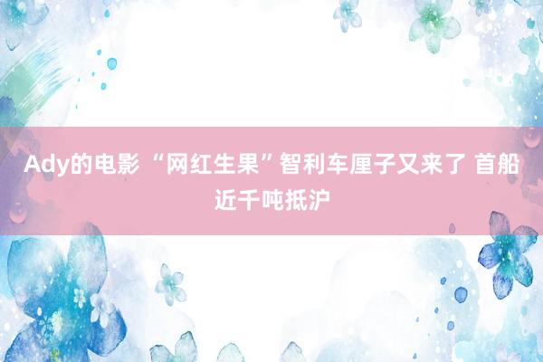 Ady的电影 “网红生果”智利车厘子又来了 首船近千吨抵沪