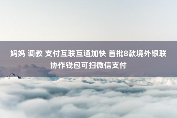 妈妈 调教 支付互联互通加快 首批8款境外银联协作钱包可扫微信支付