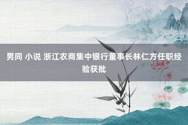 男同 小说 浙江农商集中银行董事长林仁方任职经验获批