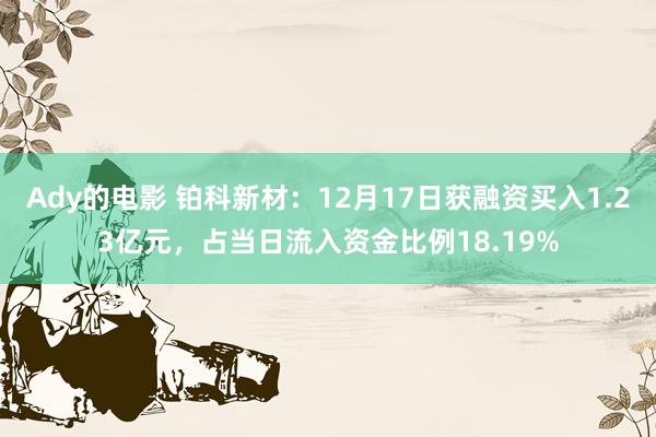 Ady的电影 铂科新材：12月17日获融资买入1.23亿元，占当日流入资金比例18.19%