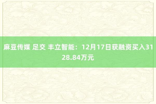 麻豆传媒 足交 丰立智能：12月17日获融资买入3128.84万元