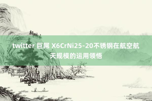 twitter 巨屌 X6CrNi25-20不锈钢在航空航天规模的运用领悟