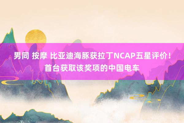 男同 按摩 比亚迪海豚获拉丁NCAP五星评价！首台获取该奖项的中国电车