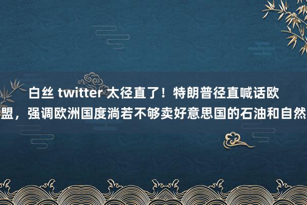 白丝 twitter 太径直了!特朗普径直喊话欧盟,强调欧洲国度淌若不够卖好意思国的石油和自然