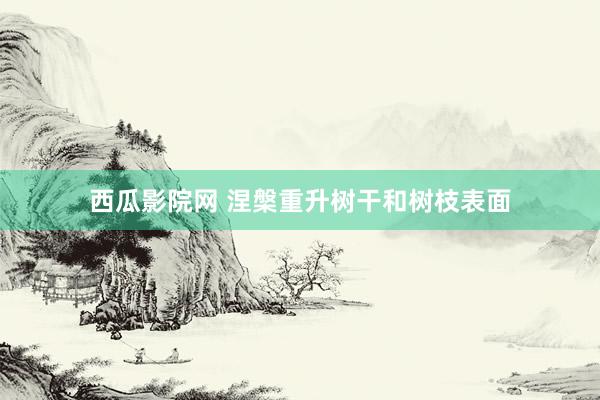 西瓜影院网 涅槃重升树干和树枝表面