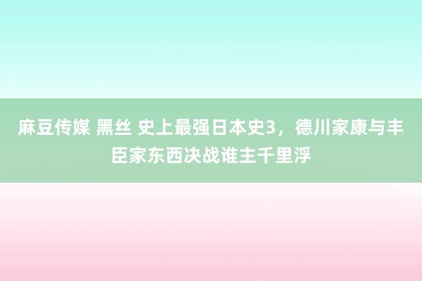 麻豆传媒 黑丝 史上最强日本史3，德川家康与丰臣家东西决战谁主千里浮