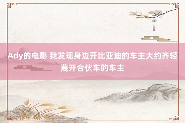 Ady的电影 我发现身边开比亚迪的车主大约齐轻蔑开合伙车的车主