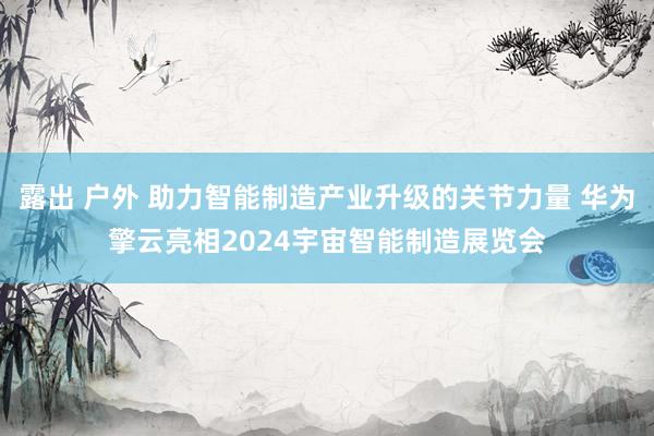 露出 户外 助力智能制造产业升级的关节力量 华为擎云亮相2024宇宙智能制造展览会