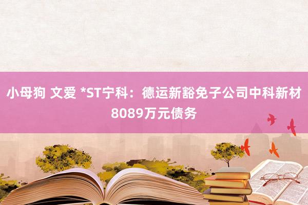 小母狗 文爱 *ST宁科：德运新豁免子公司中科新材8089万元债务