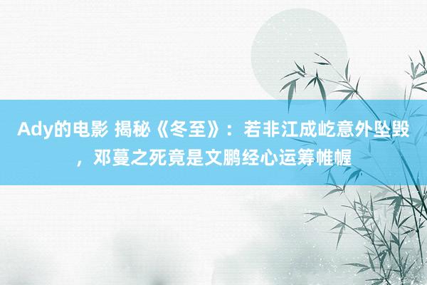 Ady的电影 揭秘《冬至》：若非江成屹意外坠毁，邓蔓之死竟是文鹏经心运筹帷幄