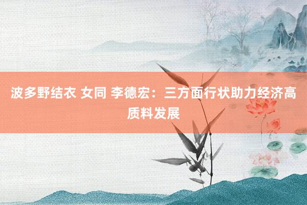 波多野结衣 女同 李德宏：三方面行状助力经济高质料发展