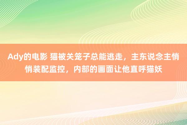 Ady的电影 猫被关笼子总能逃走，主东说念主悄悄装配监控，内部的画面让他直呼猫妖