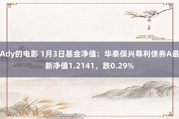 Ady的电影 1月3日基金净值：华泰保兴尊利债券A最新净值1.2141，跌0.29%