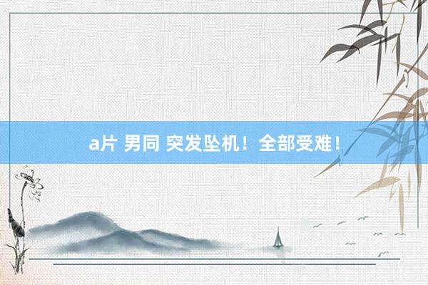 a片 男同 突发坠机！全部受难！