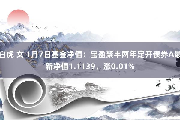 白虎 女 1月7日基金净值：宝盈聚丰两年定开债券A最新净值1.1139，涨0.01%