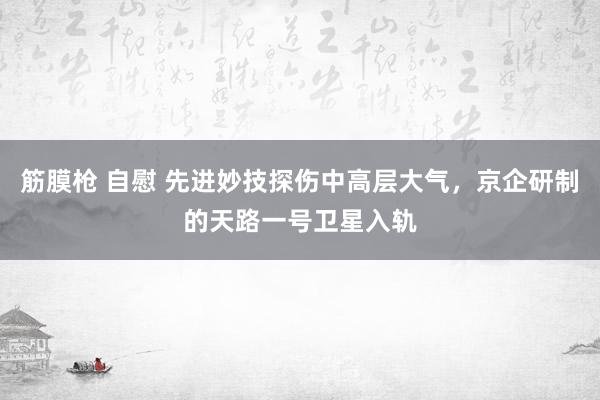 筋膜枪 自慰 先进妙技探伤中高层大气，京企研制的天路一号卫星入轨