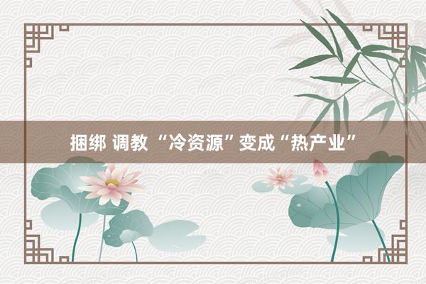 捆绑 调教 “冷资源”变成“热产业”