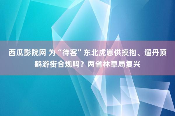 西瓜影院网 为“待客”东北虎崽供摸抱、遛丹顶鹤游街合规吗？两省林草局复兴