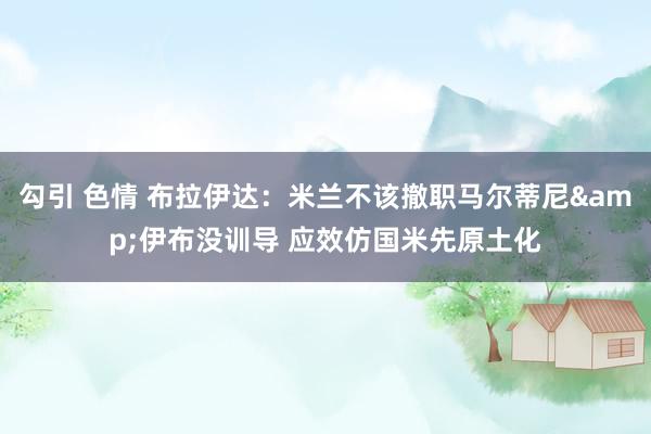 勾引 色情 布拉伊达：米兰不该撤职马尔蒂尼&伊布没训导 应效仿国米先原土化