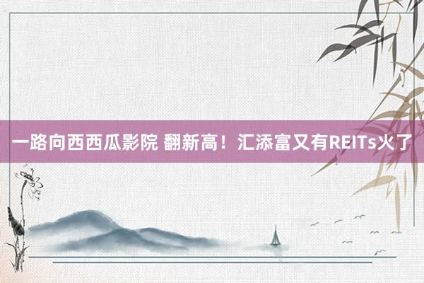 一路向西西瓜影院 翻新高！汇添富又有REITs火了
