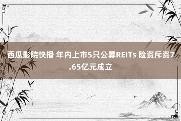 西瓜影院快播 年内上市5只公募REITs 险资斥资7.65亿元成立