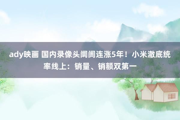 ady映画 国内录像头阛阓连涨5年！小米澈底统率线上：销量、销额双第一