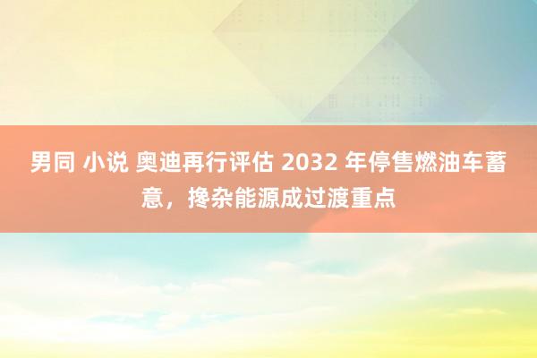 男同 小说 奥迪再行评估 2032 年停售燃油车蓄意，搀杂能源成过渡重点